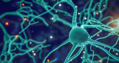 專訪再生生物 像預防疾病一樣抗衰，AI制藥與細胞技術重塑抗衰老未來