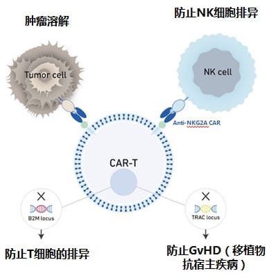 實(shí)體瘤CAR-T的破局者 科濟(jì)藥業(yè)李宗海談全球研發(fā)進(jìn)展、海外布局與下一代技術(shù)