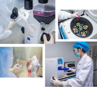 自貿(mào)區(qū)示范新篇章 壹加健康攜手珠海市人民醫(yī)院，開啟細(xì)胞技術(shù)研發(fā)與應(yīng)用生命健康戰(zhàn)略合作