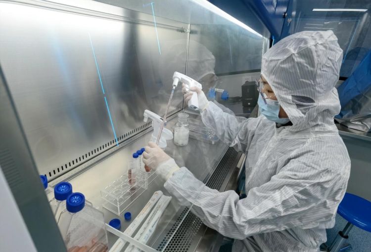 深圳細胞產業迎來新引擎 “大灣區國際綜合細胞庫與區域制備中心”揭牌，加速技術研發與應用